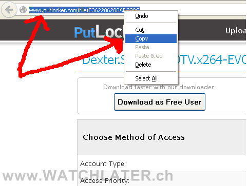 Instructions How to Find and Copy The URL of Video Embeds